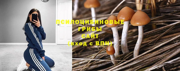 спайс Кукмор