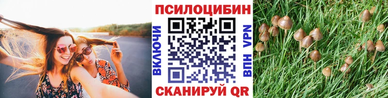 Галлюциногенные грибы Psilocybine cubensis  Купить  Карабаново 