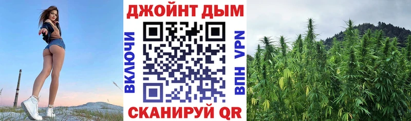 Купить где  Карабаново  Бошки Шишки LSD WEED 